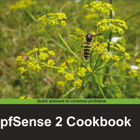 دانلود کتاب pfSense 2 Cookbook
